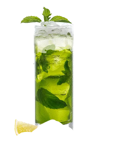 Vodka Mojito